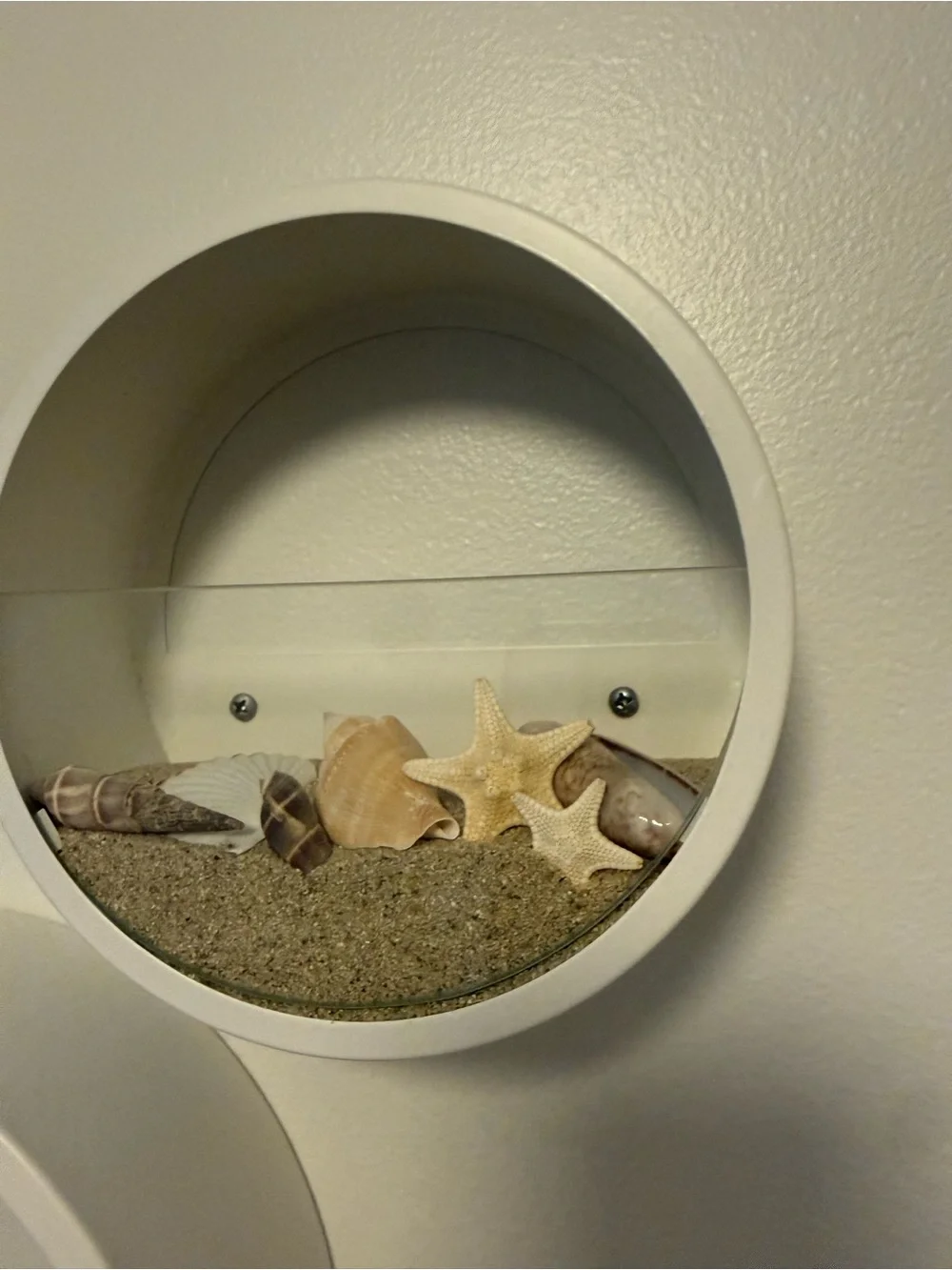 Coastal Circle Wall Shelves decor - White multi use